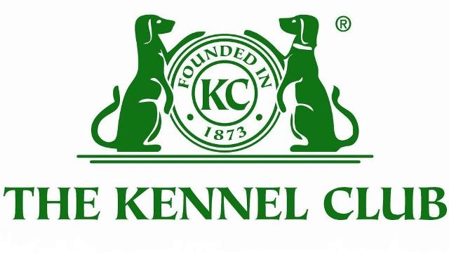 The Kennel Club Dog Art Gallery