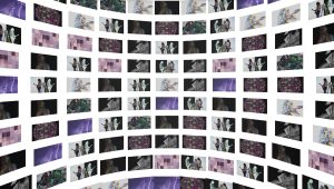 Fans can interact with the band