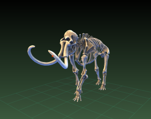 Smithsonian Museum scans a Mammoth in 3D
