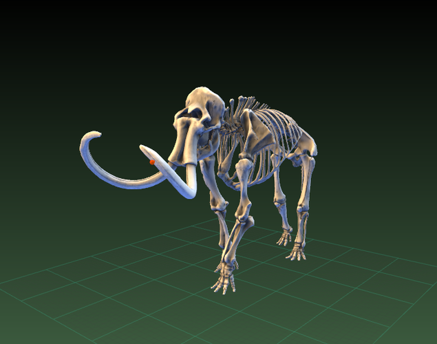 Smithsonian Museum scans a Mammoth in 3D