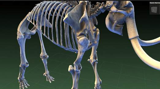 3D image of a mammoth