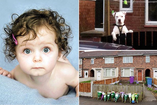 Baby Killed By Dog Was 'Beautiful Little Girl'