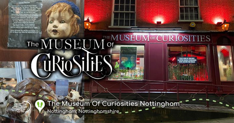 Museum Of Curiosities  SMPMain 1 768x403