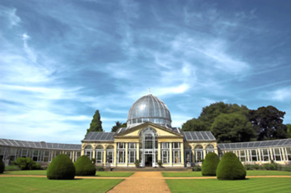 Syon House and Gardens