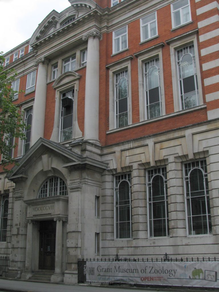 The Grant Museum Of Zoology UCL 768x1024