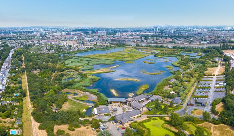 London Wetland Centre 1 768x449