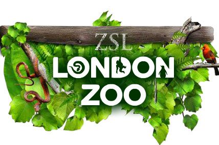 London Zoo 1