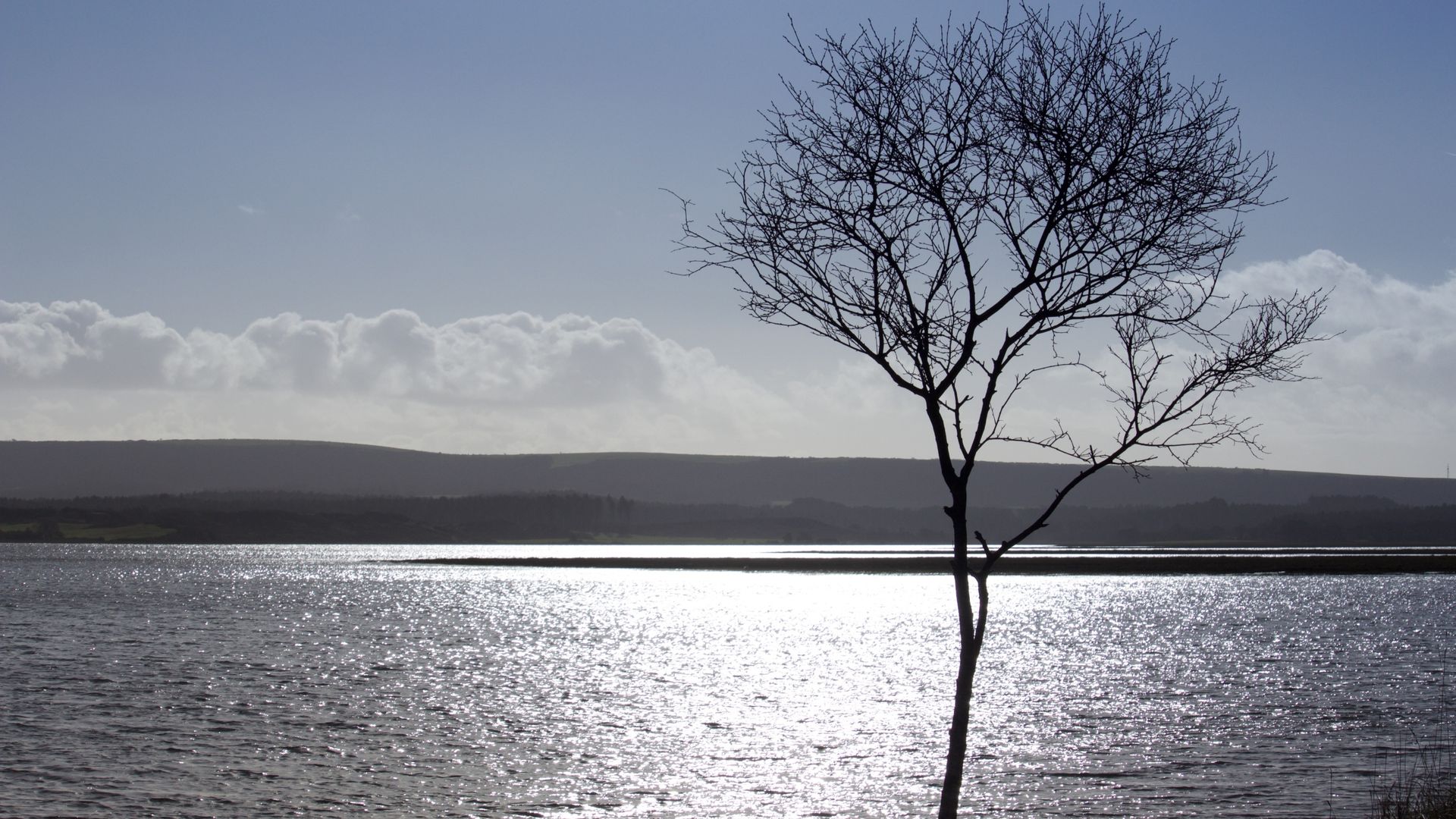 skynews-poole-bay-arne-nature_7263588 – Access to London