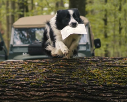 An old-style Land Rover can be seen as a border collie leaps over a fallen tree as it takes off with the card.