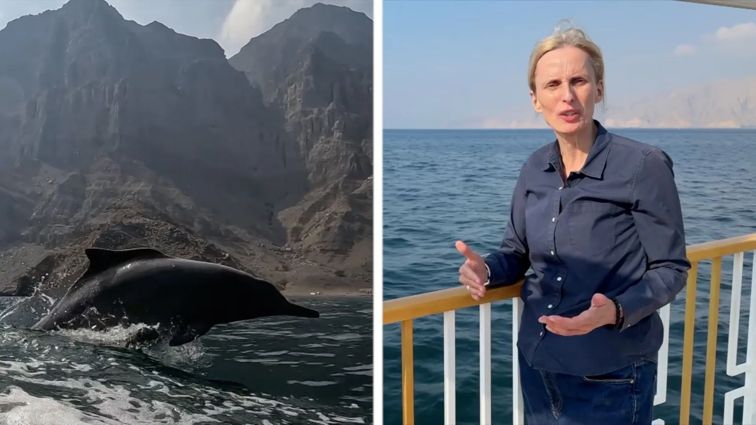 A split screen image of a dolphin breeching and Orla Guerin wearing a blue top