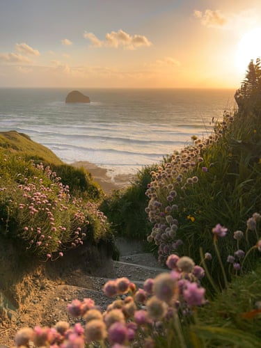 A path towards a beach, flowers line the path