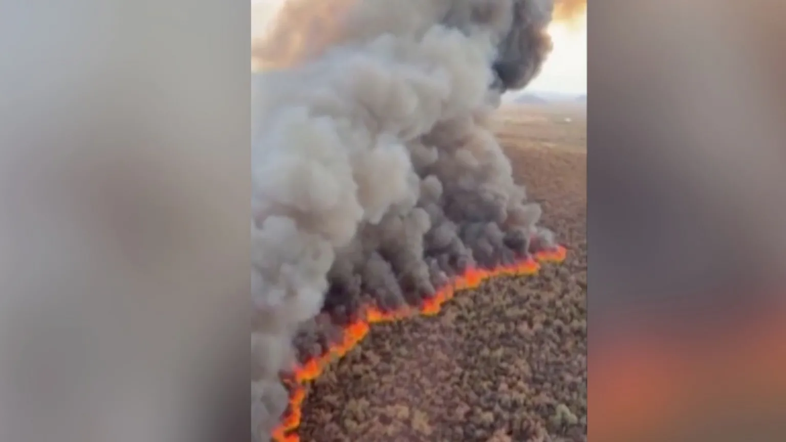 A wildfire burns in an orange line through scrubland with a huge plume of smoke above it.