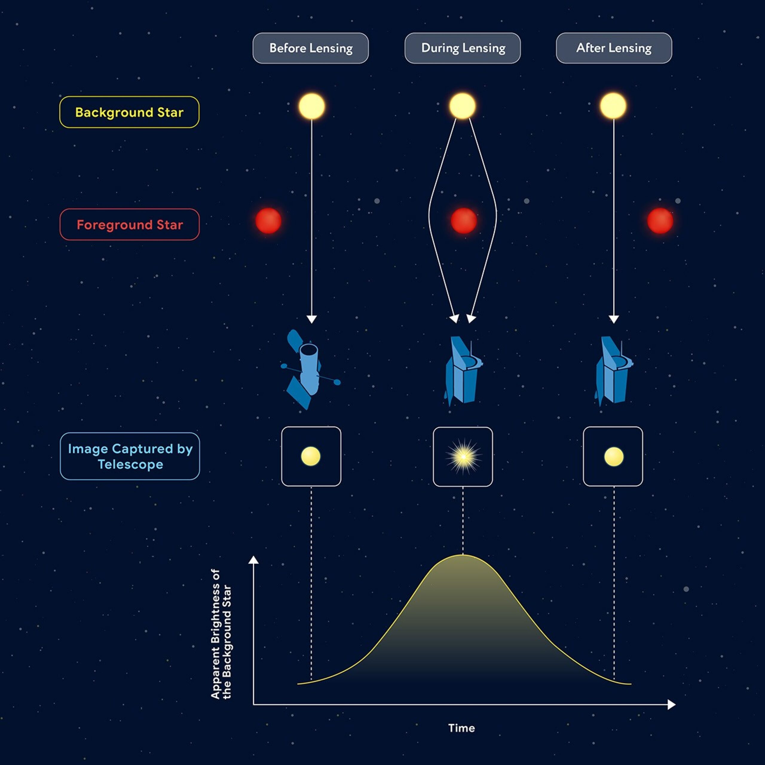 A graphic showing the process of microlensing with three columns indicating different times. Against a star-filled background, a distant yellow background star appears at top of the graphic, while a small red foreground star passes in front of it from left to right in the middle of the graphic. Three panels progress from u201cBefore Lensingu201d to u201cDuring Lensingu201d to u201cAfter Lensing.u201d As the foreground star aligns with the background star in the middle panel, white curved lines show the bending of the background staru2019s light by gravity. Two diverging lines converge again to indicate a magnification of the staru2019s light. Three boxes show the image captured by the Hubble telescope (left) and Roman telescope (middle, right). Underneath these panels is a bell curve (y-axis reads u201cApparent Brightness of the Background Staru201d, x-axis reads u201cTimeu201d). Its lowest points (at left and right) and highest point (middle) connect to the three boxes by a dotted white line.