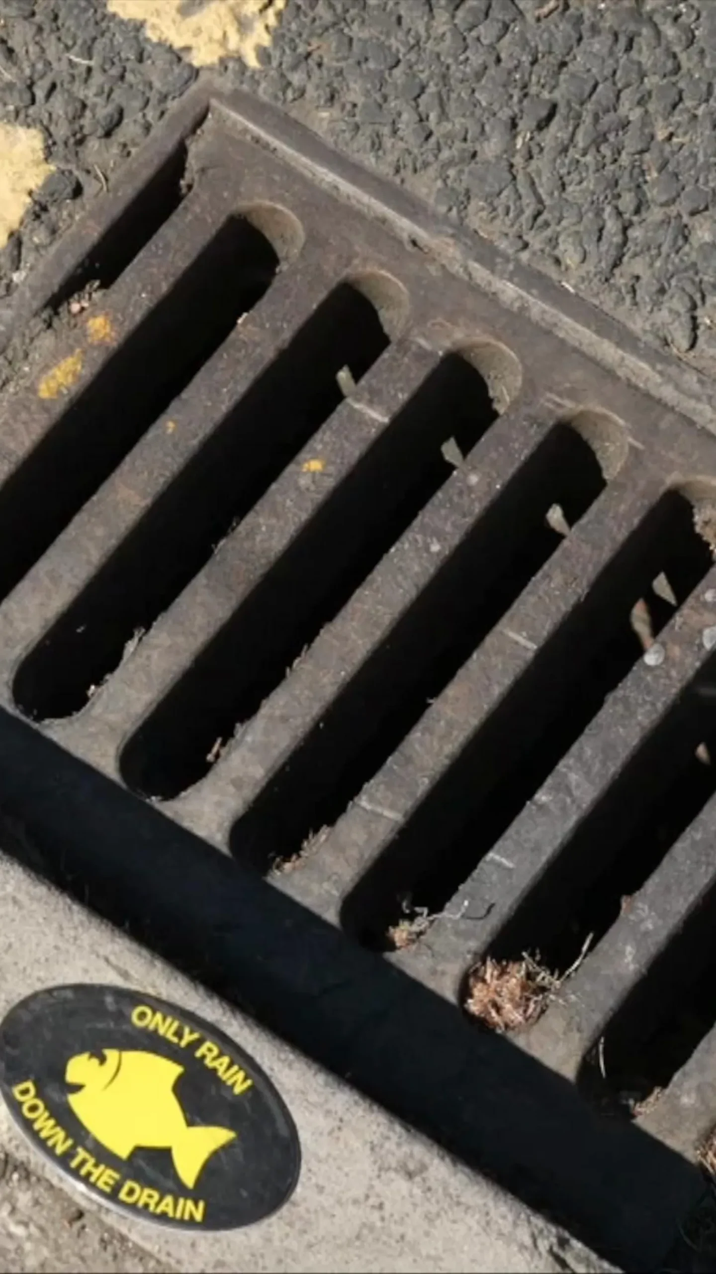 A drain with a fish sticker next to it