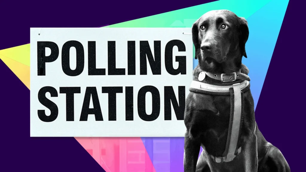 BBC A stylised image of a back dog next to a polling station sign, against a multi-coloured triangle on a purple background