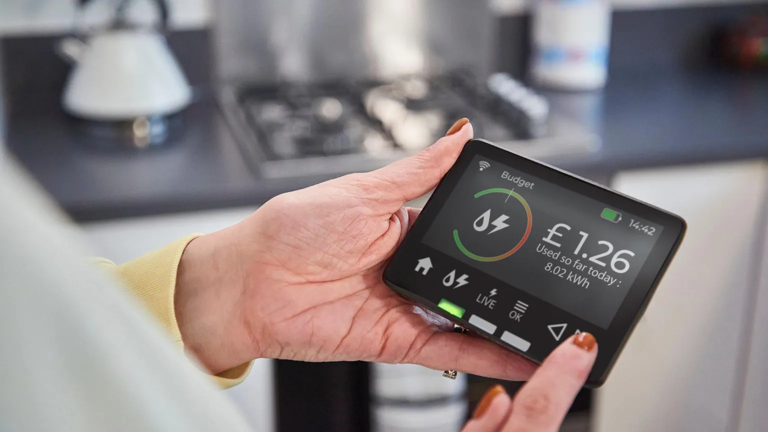 Getty Images A woman's hands holding an energy smart meter