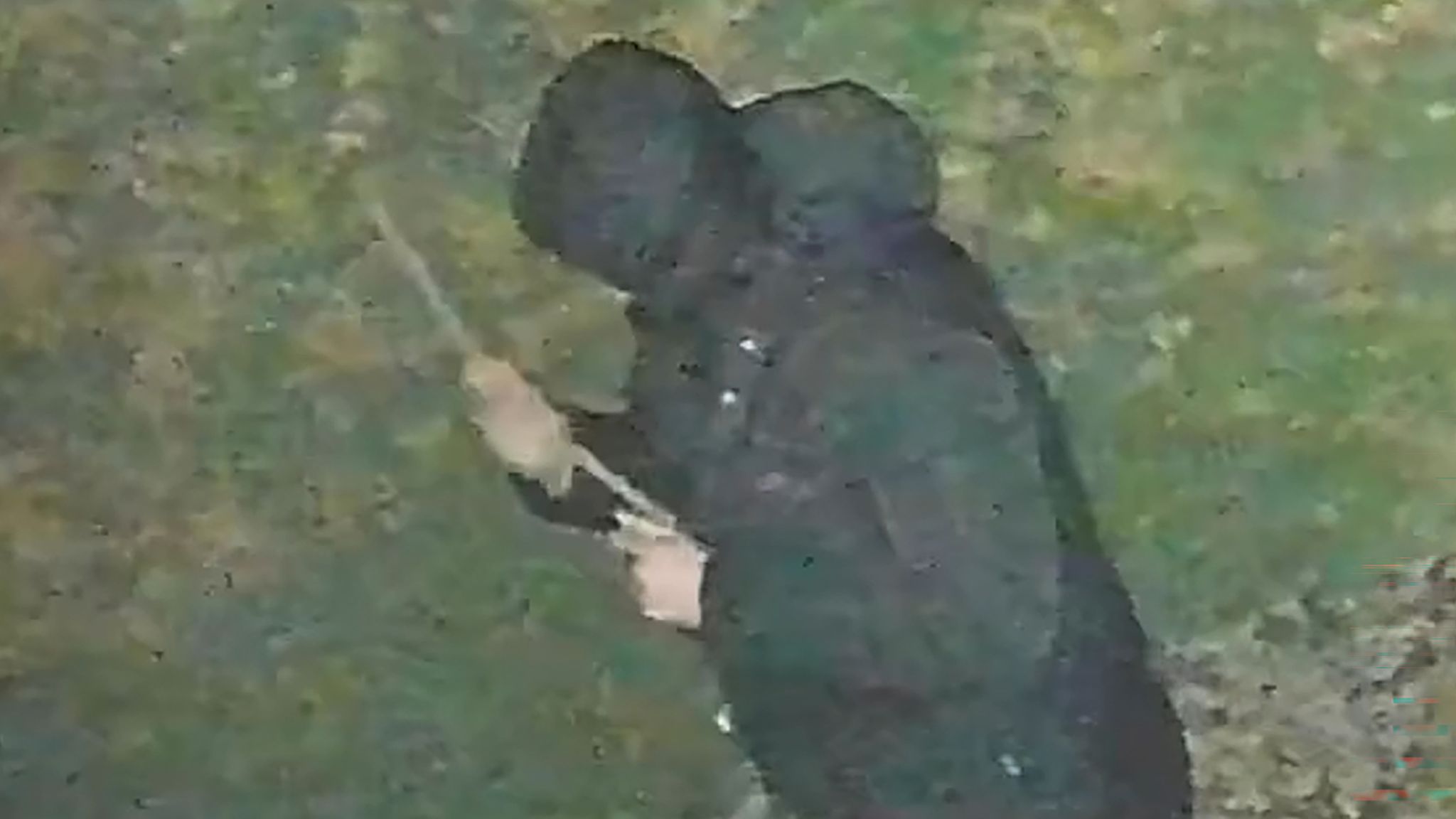John Ashby holding a stick. Pic: West Midlands Police