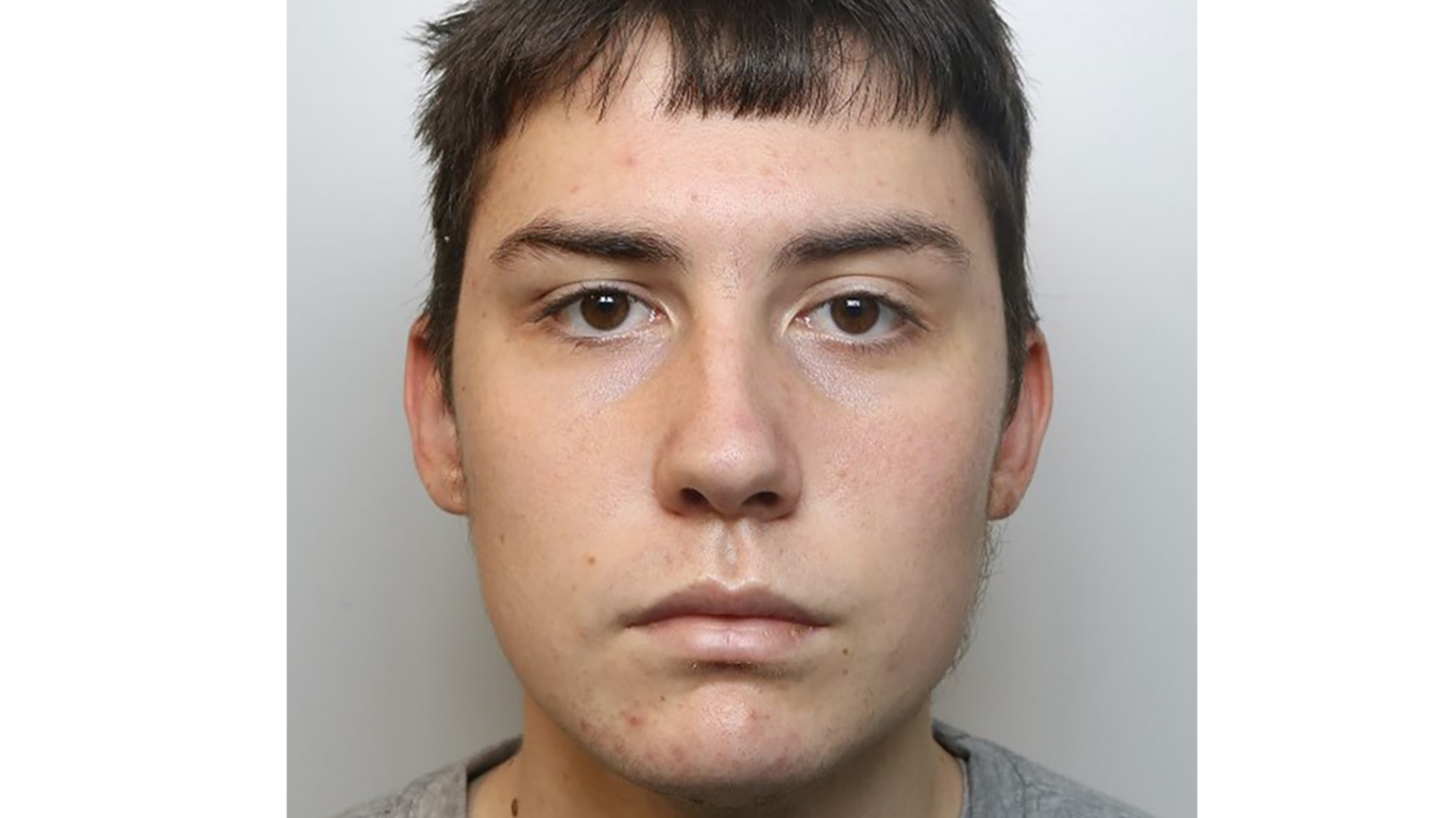 Man who fatally stabbed stepfather and family dog for 'thrill', jailed for life