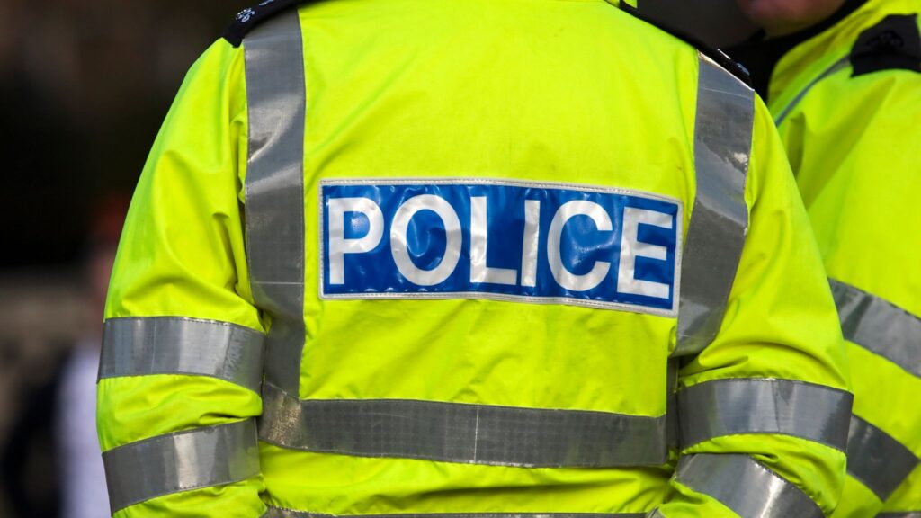 Boy, 6, dies after being hit by car