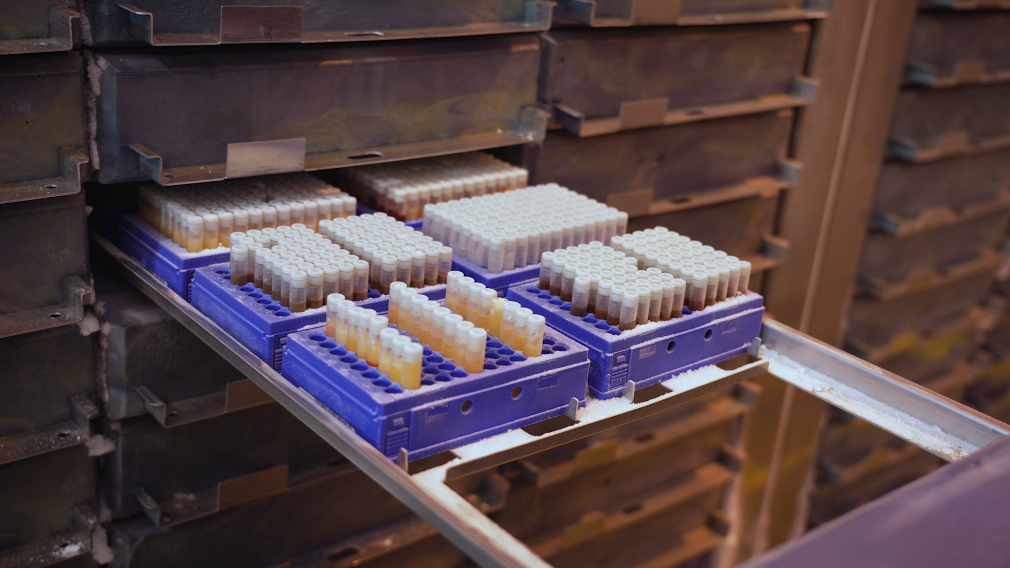 Banks of frozen samples stored at the UK Biobank project